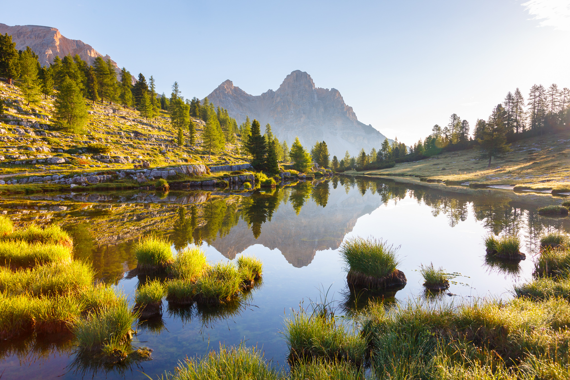 Natur